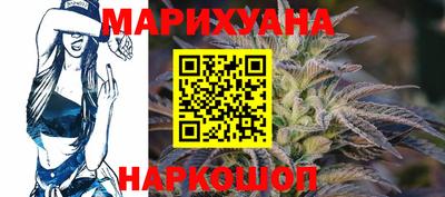 сатива Аргун