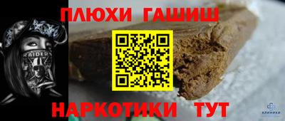 сатива Аргун