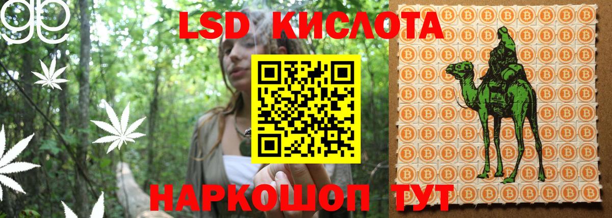 Вичуга  Марки NBOMe 1,8мг  Вход с VPN 