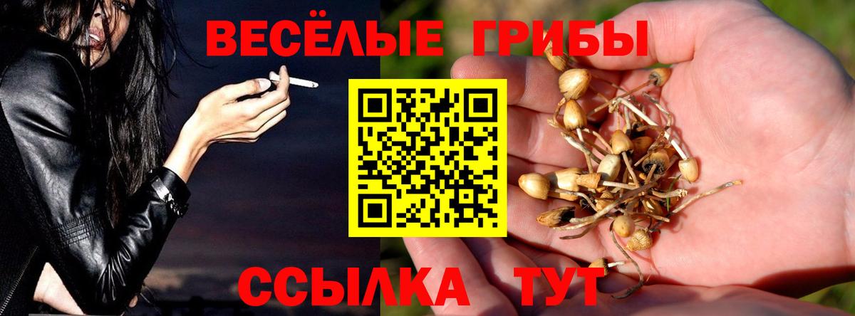 Вичуга  Псилоцибиновые грибы Cubensis  Вход с VPN 