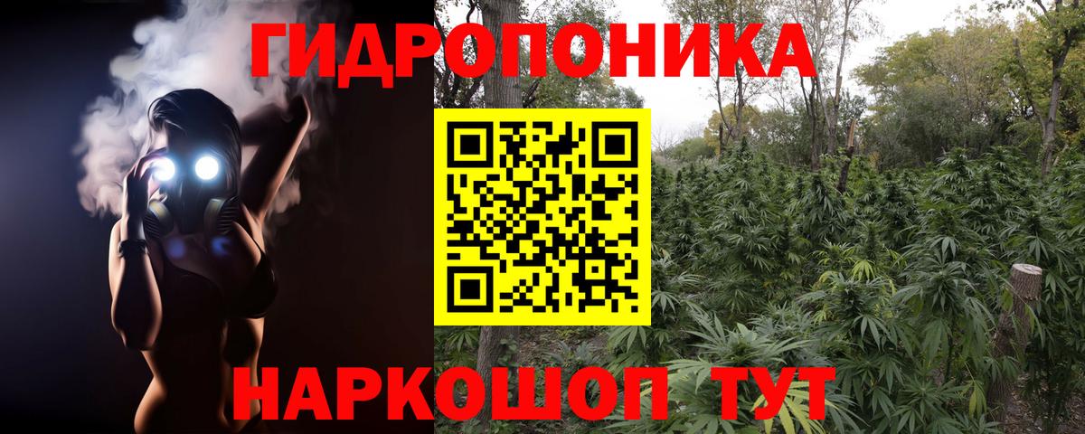 Конопля ГИДРОПОН  Каннабис SATIVA & INDICA  Вичуга  Вход с VPN 